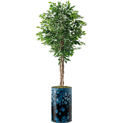 Faux Ficus Plant in Plastic Planter