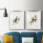 Impression de cadre photo sur papier-2038031966-2038032705
