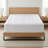 Adaptive Comfort Plush Mattress Topper with 100% Cotton Shell for Breathable Comfort - KING-1773436693
