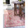 Cozine Oriental Indoor / Outdoor Rug