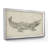 " Crocodile Sketch " Color Photography Print-581473867-581473860