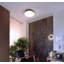 Menkar LED Flush Mount-64432453