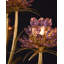 Marilee Chandelier-354568573-354568574-354568575