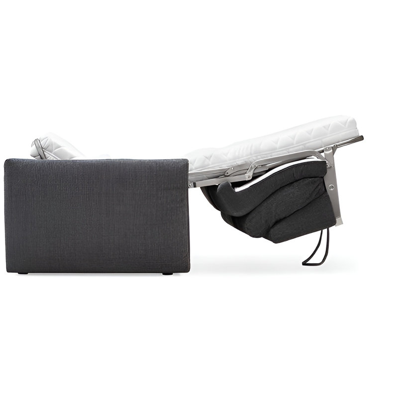 Darwin Upholstered Sofa with Bed