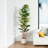 Adcock  Artificial Fiddle Leaf Fig Tree with Realistic Leaves and Natural Trunk, Potted Tree-212896210