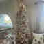 Customer photo 2 of 2