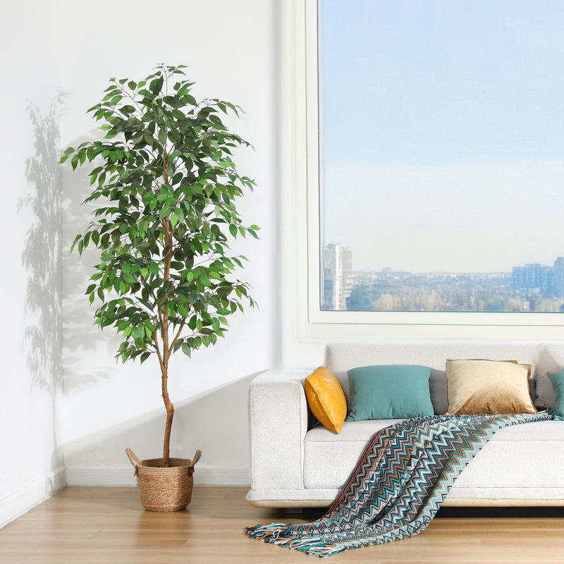 Adcock Artificial Ficus Tree in Pot with Realistic Leaves and Natural Trunk, 82" H x 20" W x 20"D