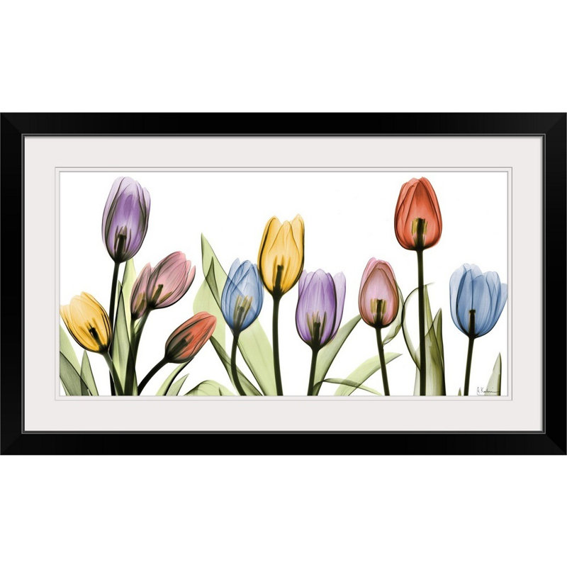 Tulipe - imprimé, H 23 po x l 38 po x P 1 po, Cadre noir