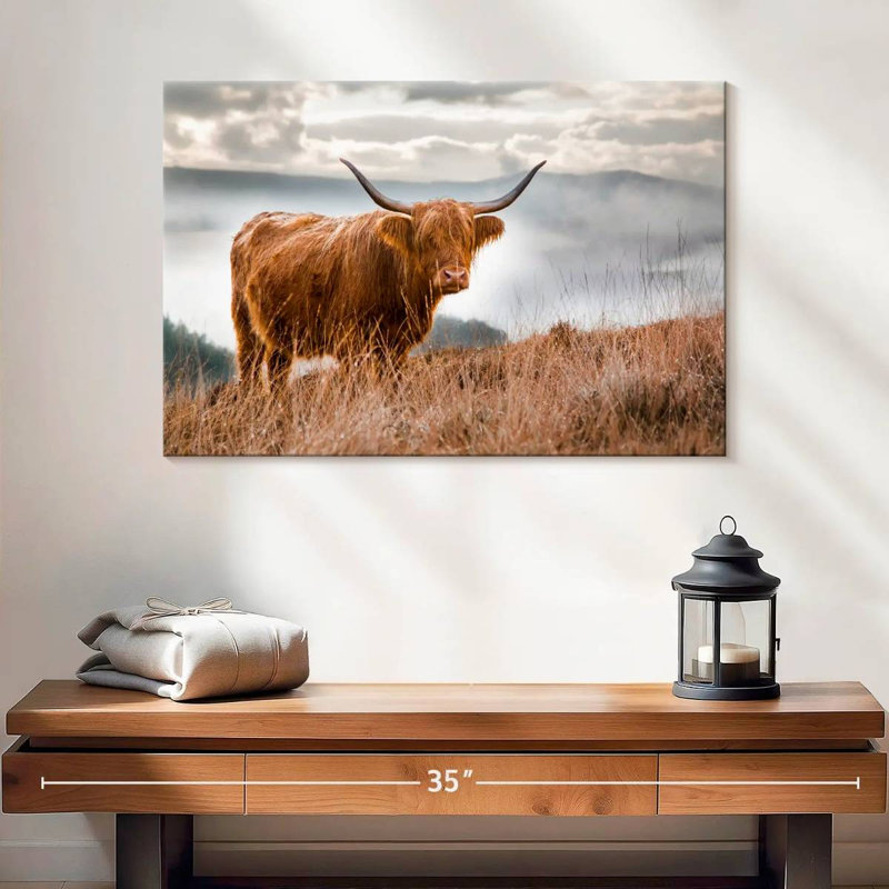 Vache Highland en Écosse, H 16 po x l 24 po