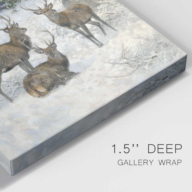 «Vintage Animal Print II», reproduction sur toile encadrée, H 49 po x l 33 po