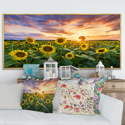 Champ de tournesols en fleurs - Photographie sur toile