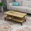 Coffee Table With Storage Shelves Crystal