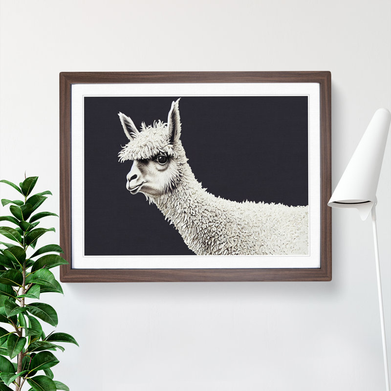 Portrait Of A Llama - Single Picture Frame Print, Walnut, 34cm H x 46cm W x 2cm D