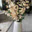 Photos des clients 1 de 1