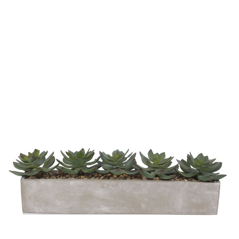 Gray Rectangular Pot with Silk Succulent Arrangement