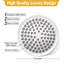 Rain Fixed Shower Head