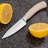 Dura Living 3.5'' Paring Knife-63487556