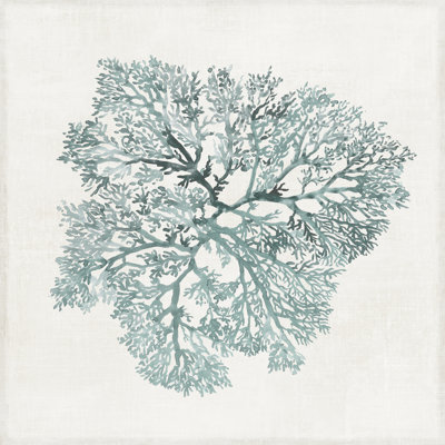 " Teal Coral I " by Aimee Wilson