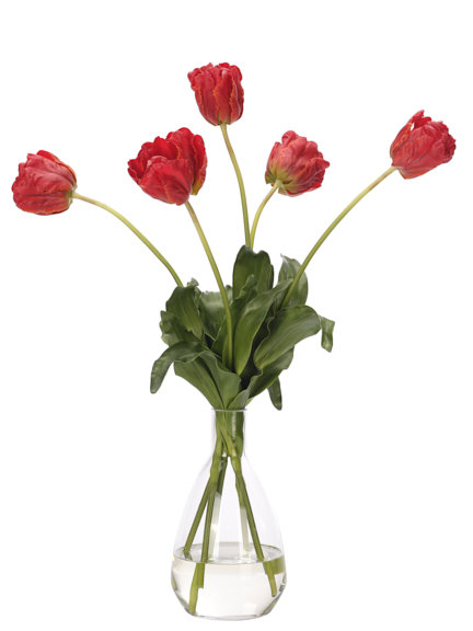 Real-Touch Tulip, Red, Glass Vase, 22wx22dx29h