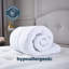Hollow Fibre 15 Tog Duvet Fall/Spring-1554966380