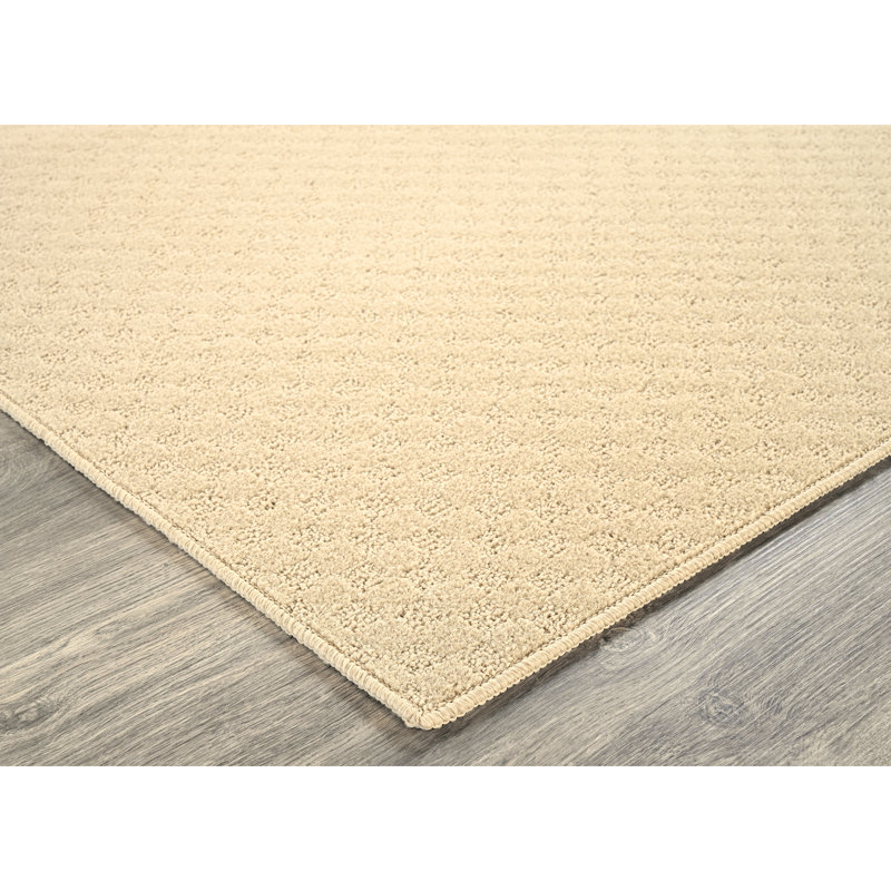 Tapis rectangulaire antidérapant 5 pi x 7 pi, 3 pi x 4 pi, 24 po x 60 po