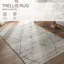 Indoor Rug-181649840