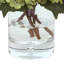 Hortensias dans un vase en verre-106608490-68378897