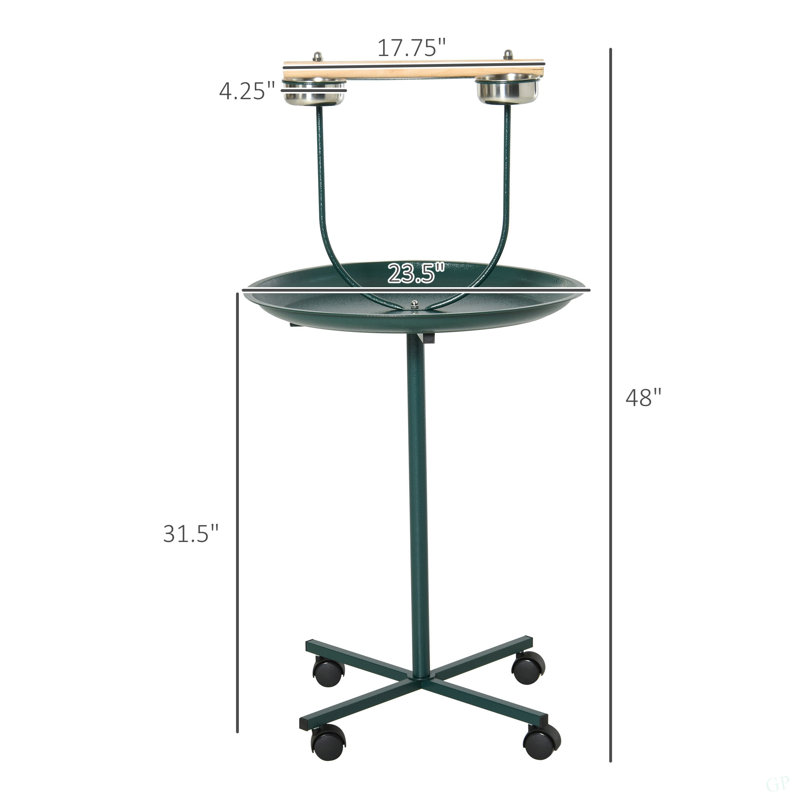 Bird Training Activity Playground With