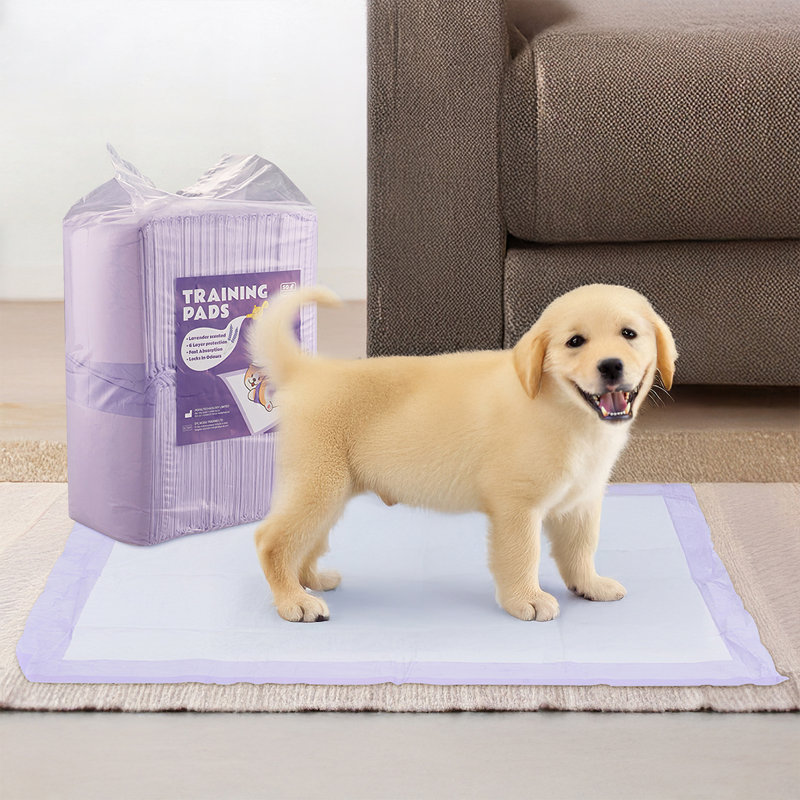 Disposable Fabric Accessory Set