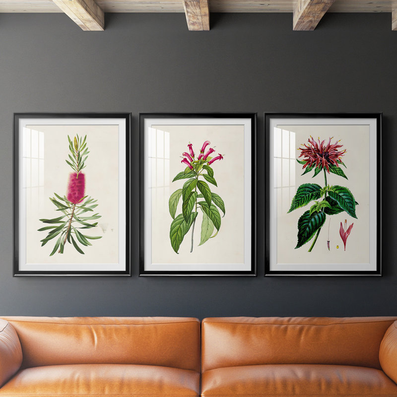 «Pretty Pink Botanicals VII», reproduction encadrée de qualité supérieure - prête à être accrochée, Cadre noir