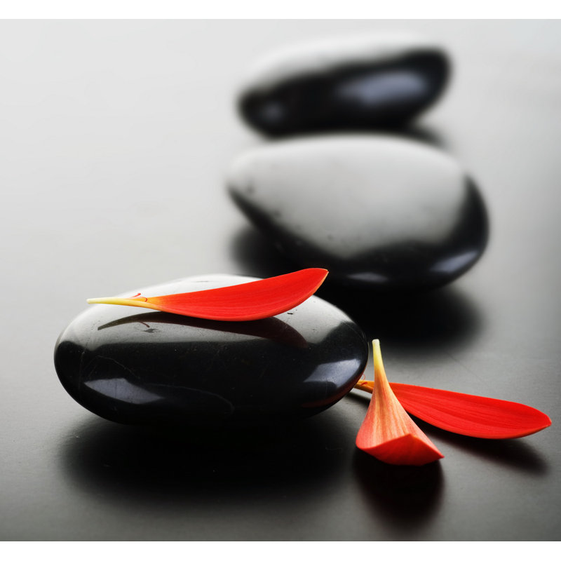 Into the Zen, reproduction de photo