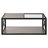 Double Layer Coffee Table