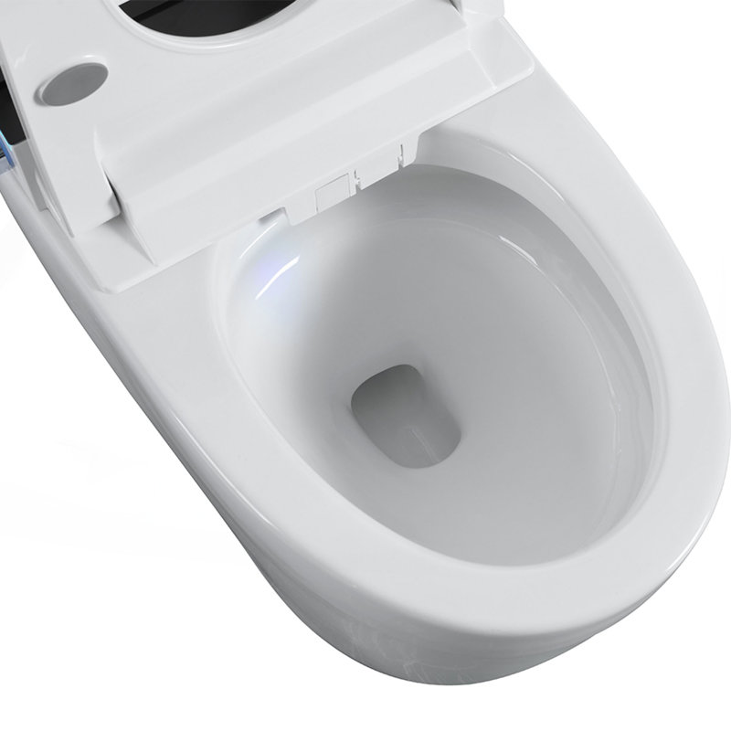 Tankless Smart Toilet With Bidet Built In, One-piece Bidet Toilet Seat, Auto Flush,Heated Seat, Warm Water and Dry, Adjustable Temp,Remote Control Side Know