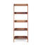 Trinidad 44.5cm W Ladder Bookcase-26297156-26297157