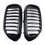 Front Kidney Grille