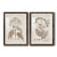 Antique sépia botanicals III - ensemble de 2 reproductions d'art sur papier encadré-1349054633-1349054638