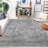 Indoor Rug-841301737