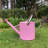 Metal Watering Can