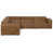 Caramel Brown is out of stock selected