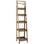 Rexhie Ladder Bookcase-9472248