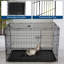 Small Animal-1761776391-1761776386