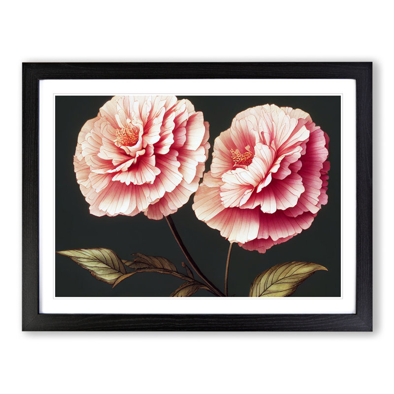 Pure Carnation Flowers - Single Picture Frame Painting, Black, 46cm H x 64cm W x 2cm D