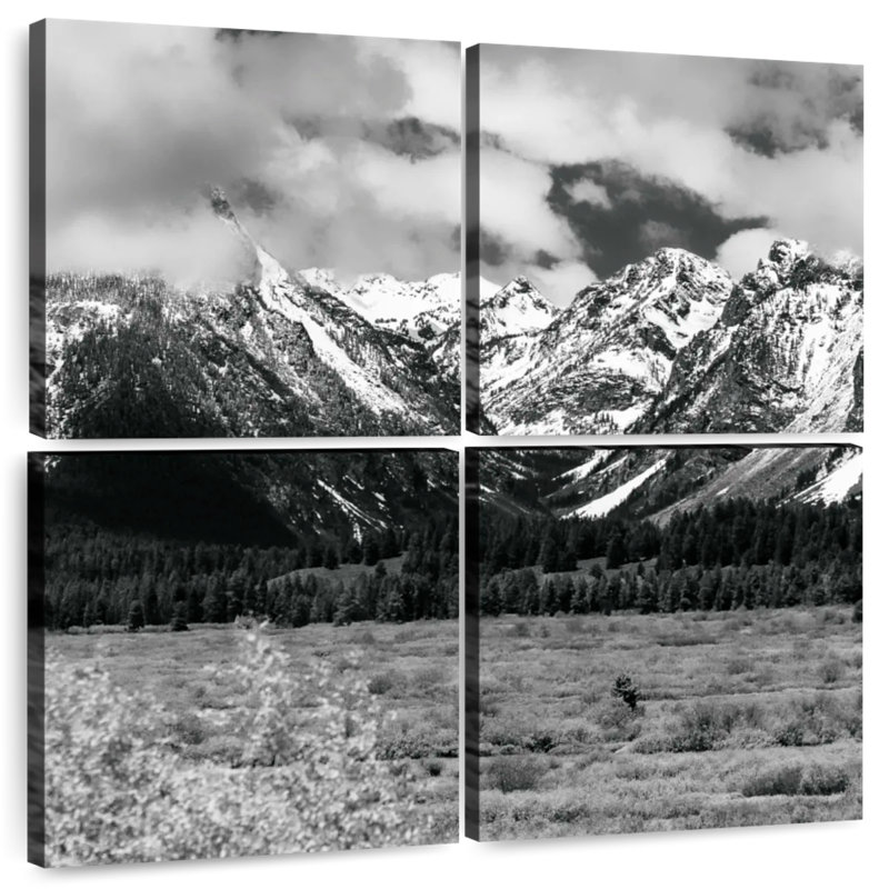 Alvord Snowy Teton Mountains BW, H 26 po x l 26 po