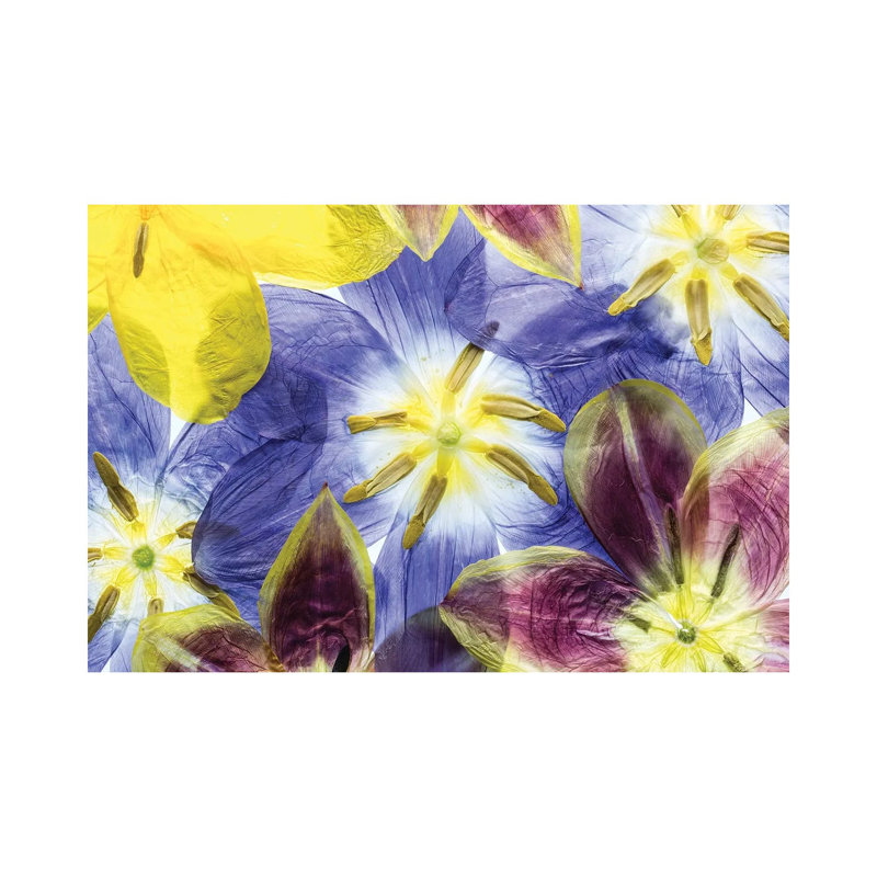 Tulips 1 Piece Wrapped Canvas Painting, 20.32 cm H x 30.48 cm W
