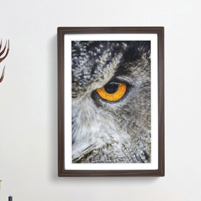 Eye of an Owl - Picture Frame Painting Print