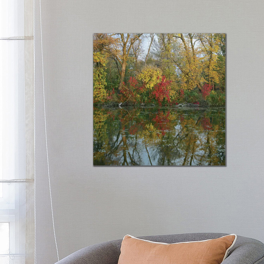 Autumn Reflection On Marsh's Lake, Spruce Woods Provincial Park, Canada von Tim Fitzharris - Gallery-Wrapped Canvas Gicl...