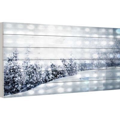 Neige, reproduction de photo