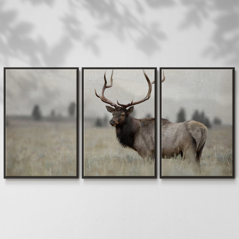 Grand Elk - 3 pièces, reproduction encadrée sur toile, H 24 po x l 48 po x P 2 po, Noir