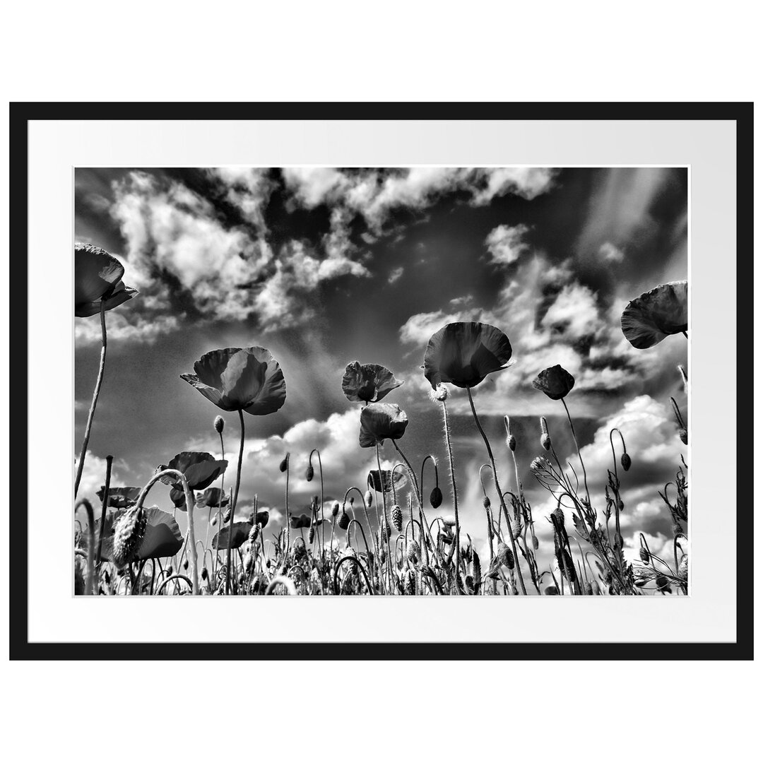 Gerahmtes Poster Wiese mit Blumen