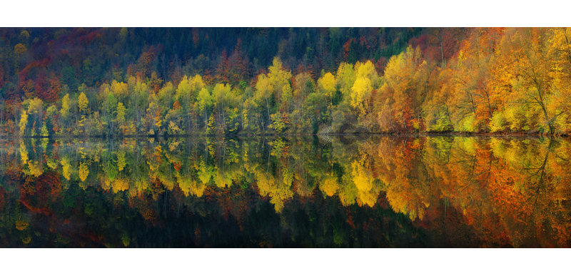 Wrapped Canvas Print, 81.28 cm H x 121.92 cm W